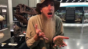 Fossil Friday with Park Ranger Marty - Ammonites!