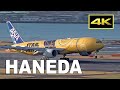 [4K] 66 Big Jets! Plane Spotting 2020 at Tokyo Haneda Airport / 羽田空港 JAL ANA