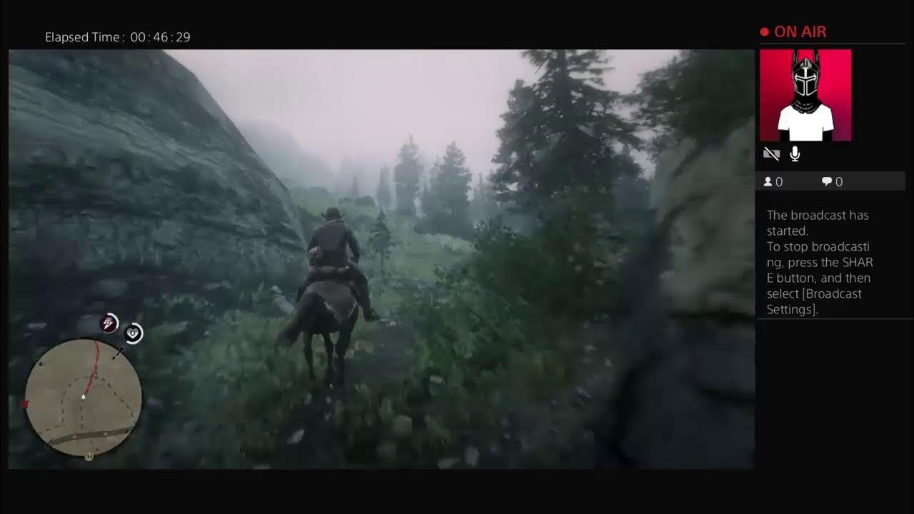 Hunting & side quest rdr2 YouTube