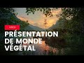 Prsentation de monde vgtal  matriser les plantes sauvages