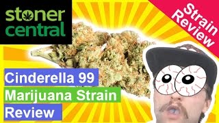 Cinderella 99 WEED STRAIN REVIEW - Stoner Central