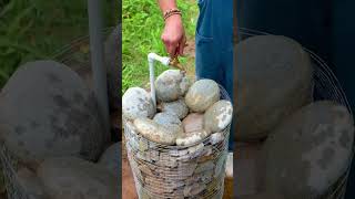 Transform Your Green Space with These Fun Tips #garden #lifehacks #hacks