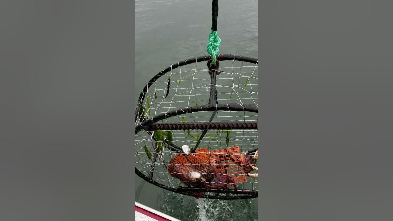 Homemade Crab Pot Puller YouTube