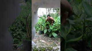 The scariest thing I’ve seen in ages #explore #explorepage #hiddencreatures #incrediblethings