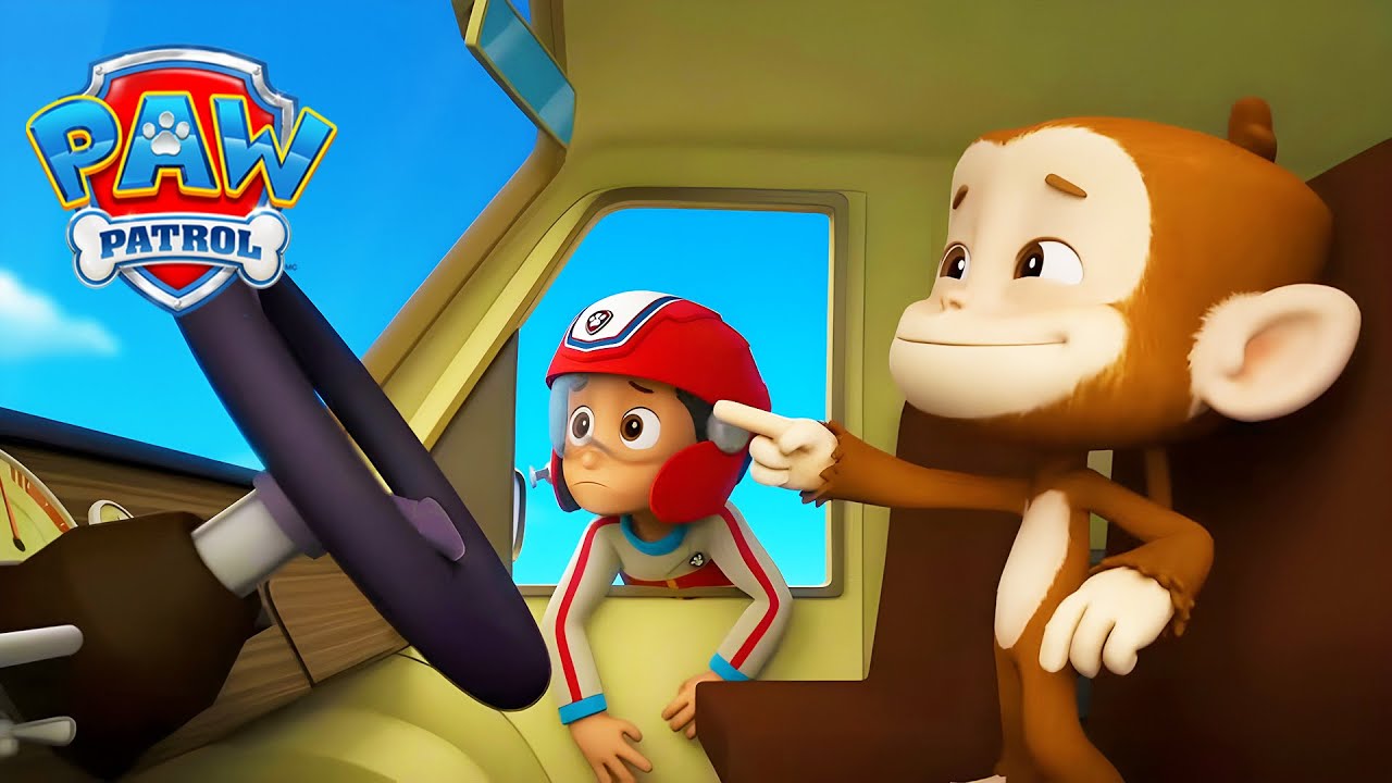 Scimmia al volante! 🙈🚗 - PAW Patrol I cuccioli Episodi Italiano