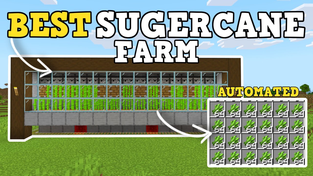 BEST AUTOMATIC SUGARCANE FARM IN MINECRAFT BEDROCK 1.21+!! - YouTube