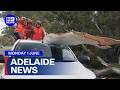 9News Adelaide | Monday June 1 | Full Episode