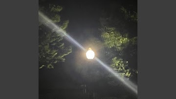 Digital Patterns (Pvt dUck HuntEr)