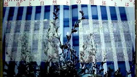 AZUMA MAKOTO AMNP vol.2「Bridge of Plants」