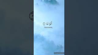 #annasr 110 #hasanabuamin #allah #new #koran #ayat #хафиз #shorts #победа  #сура #hafiz #коран