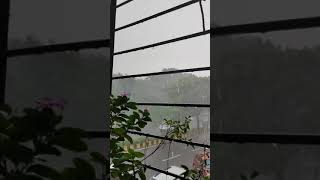 Rimjhim Ke Geet Sawan Gayerafi barish