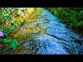 Deep Sleep River Flow Ambience – Peaceful ASMR Water Sounds to Calm Your Mind and Body