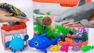ASMR Satisfying Unboxing Rainbow Nemo Fish Robo Alive Aquarium Toys Playset🌈🐟Aqua Toys ASMR