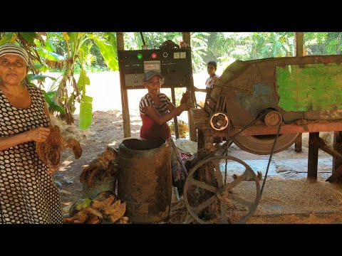 Sri Lanka,ශ්‍රී ලංකා,Ceylon,Coir,Coco Peat Production,Extraction,Coconut Husks