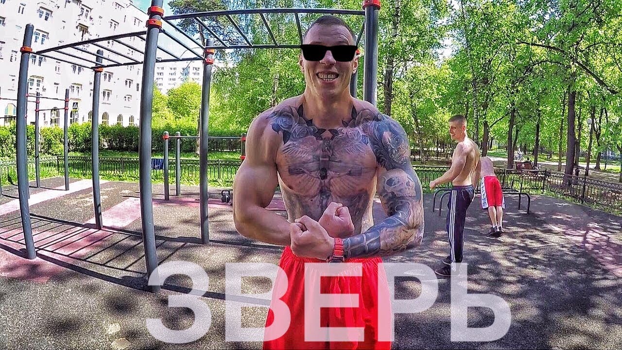 ЗВЕРЬ ВОРКАУТ. Турники и брусья