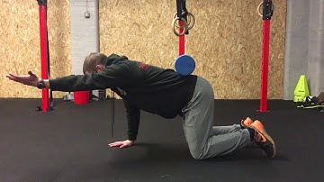 Quadruped Reach w Neutral Spine