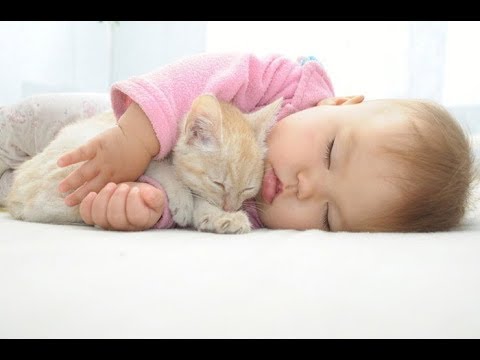 ニヤニヤ注意 超癒される 猫と赤ちゃんの可愛い仲良し動画 1 Youtube