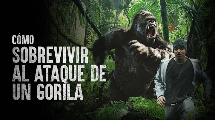 Cómo sobrevivir al ataque de un gorila