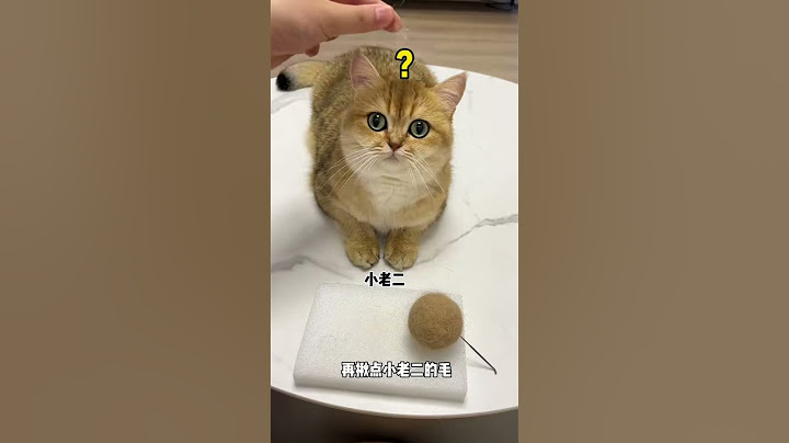 【牛奶是只猫】Q版的羊毛毡看上去肥嘟嘟的哈哈哈，显眼包的为什么最大呢