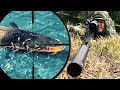 SNIPER FISH HUNTING