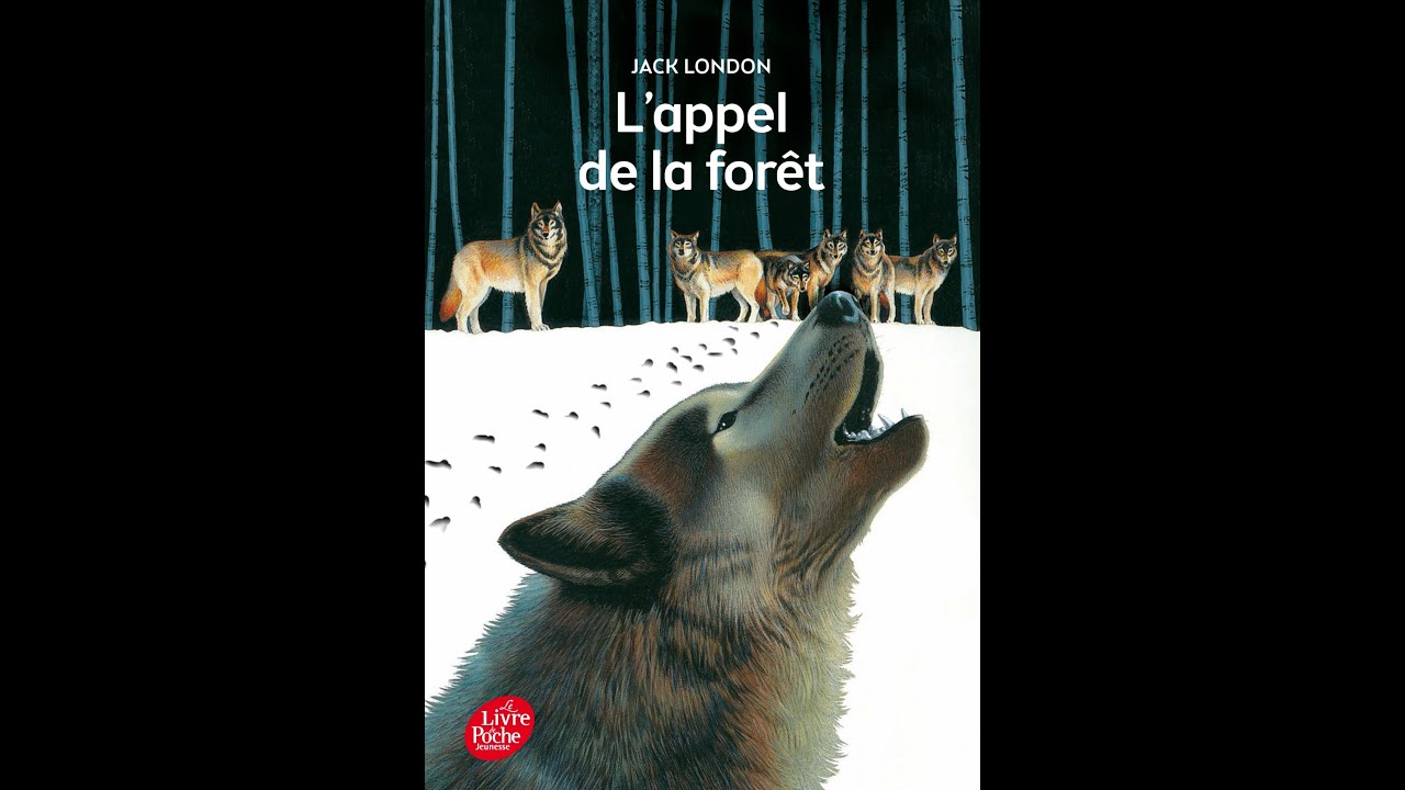 Jack London l'appel de la foret - YouTube