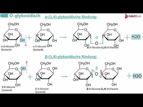 Video: Wie entstehen glykosidische Bindungen?