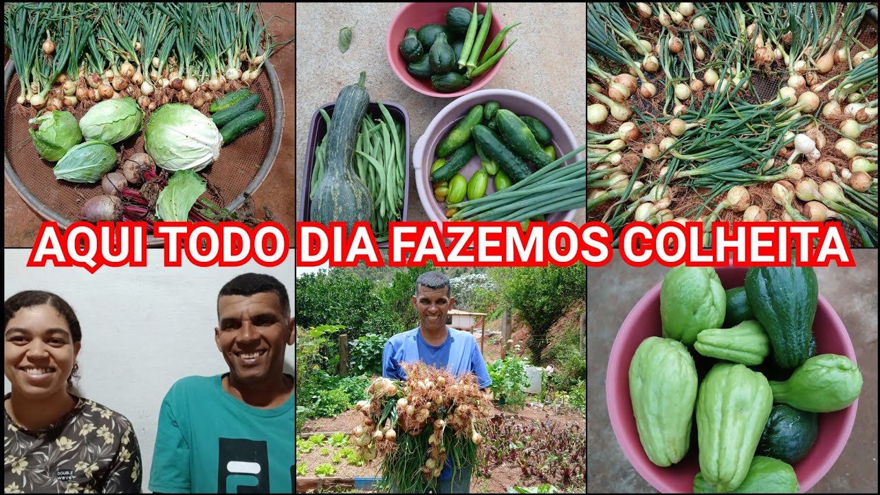 ESTAMOS CADA DIA MAIS SURPRESOS COM ESSE SÍTIO MUITA FARTURA E VARIEDADES DE PLANTAS
