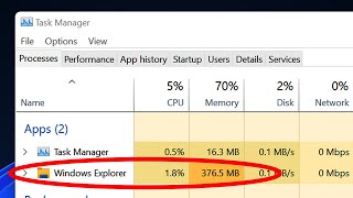 Windows 11 Explorer High Memory Usage (Big Issue)