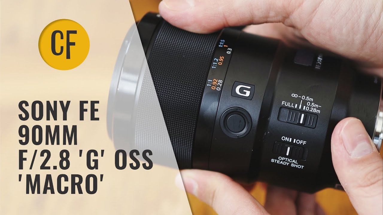 Sony FE 90mm f/2.8 Macro G OSS lens review with samples (Full-frame & APS-C)
