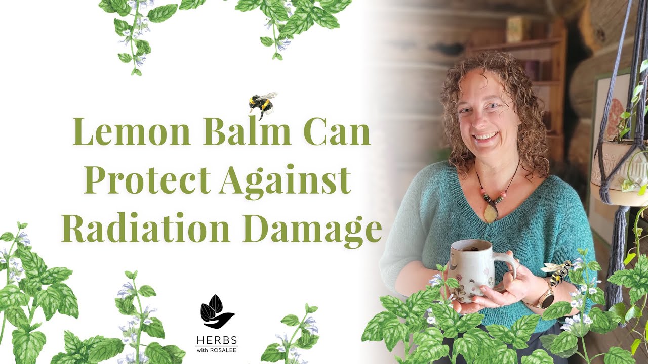 Lemon Balm Benefits Against Radiation