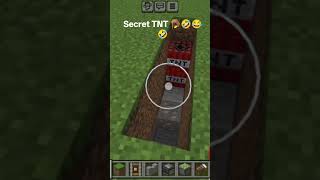 Title: Minecraft Secret TNT Trap 💥🔥 | Upar Se Band, Andar TNT 😱 #viralvideo #shortvideo #trendingvid