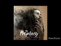 The prophecy  where we belong full album