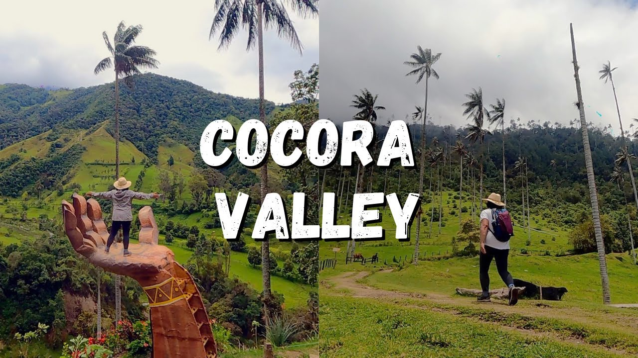 Cocora Valley New Instagram Spot With The Tallest Palm Trees In The World Colombia Ep 196 Youtube