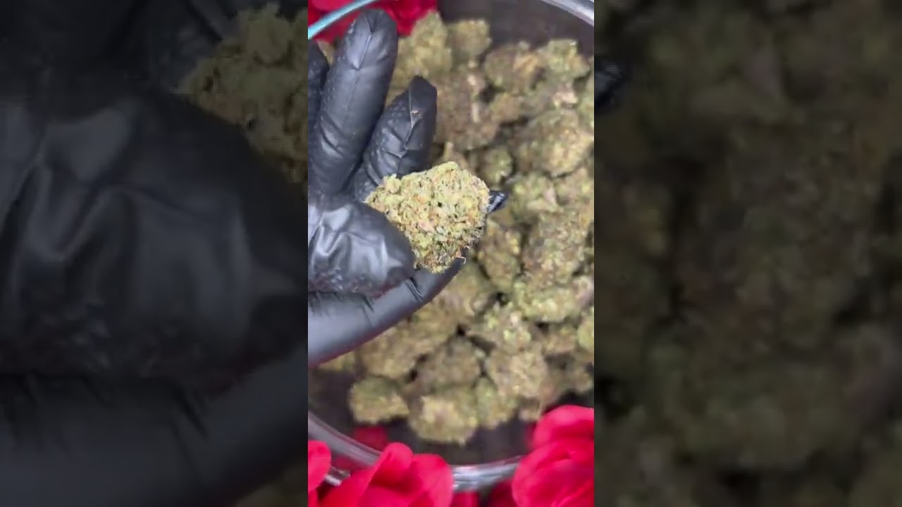 Budz & Rozez presents *Hawaiian Punch Kush* HHC-O/D8 Flower