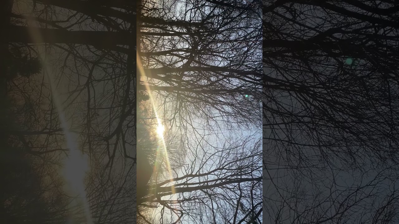 Ahh, rays of sun shining 