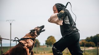Gehorsam im Schutzdienst | Family Protection Dog "Sansa"