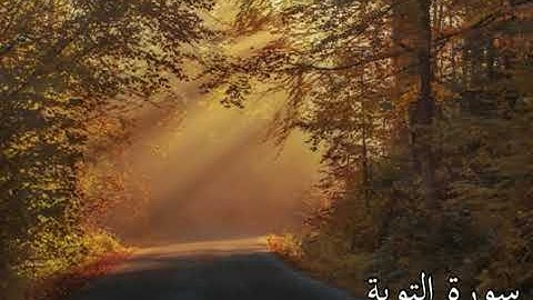 أرح سمعك💆‍♀️ تلاوة هادئة لسورة التوبة تريح القلب والعقل