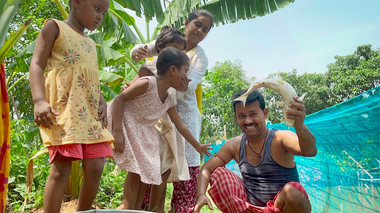 আজ ছোট পুকুর দিয়ে মাছ ধরে বড় পুকুরে কিছু মাছ ছেড়ে দেখলাম||