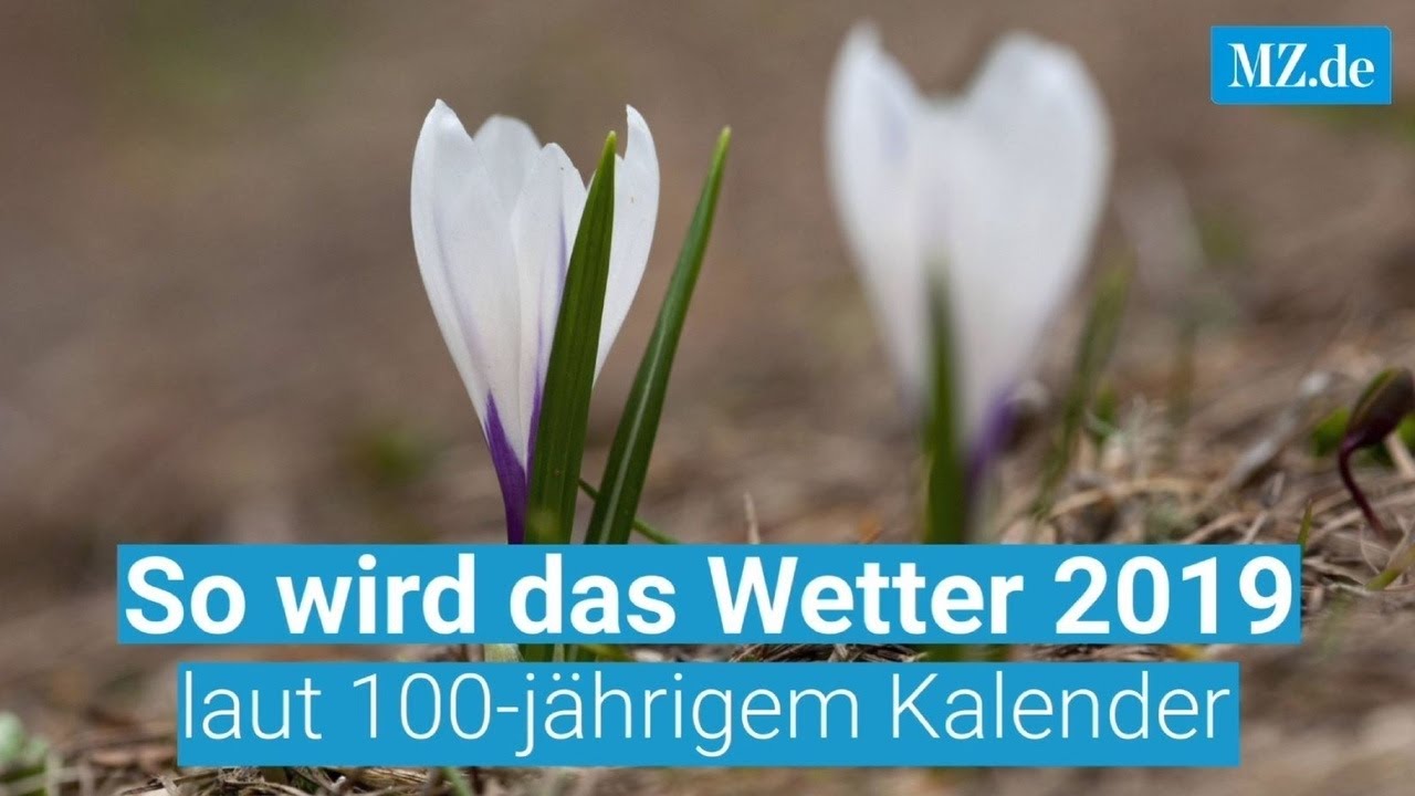 Wie ist der Hundertjährige Kalender entstanden?
