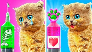 Extreme Pet Rescue In The Hospital  SAVE THIS KITTY!  *Cool Gadgets And Funny Stories*