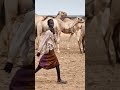 The Great Fulani Africa Africantribe Documentary Trendingvideo Subscribe The Great Fulani Africa Africantribe Documentary Trendingvideo Subscribe