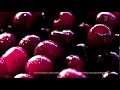 Реклама Pepsi Wild Cherry Пепси Дикая вишня 2017 