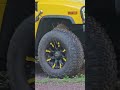 Robin decides a tire was a great spot for a nest...