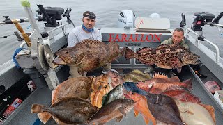 Farallon time to catch Lingcod, Rockfish and monster Sole