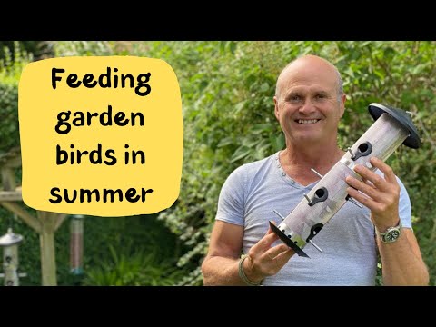 ვიდეო: სჭირდება თუ არა ფრინველებს მკვებავი ზაფხულში?