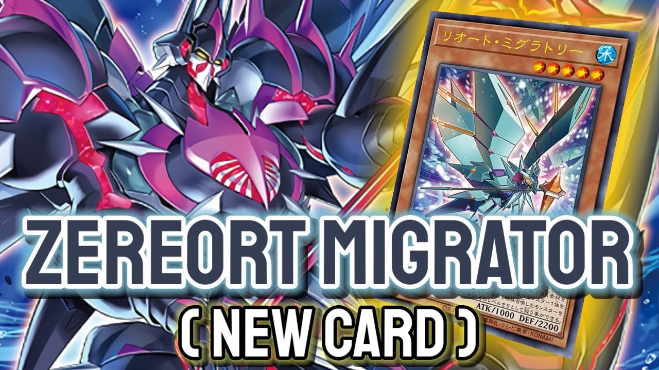 New Xyz Water Support!!! YGOPRO - Zereort Migrator | Armored Shark Aug.2024 | New Card