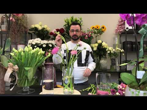 Video: Kako čuvati Rezano Cvijeće
