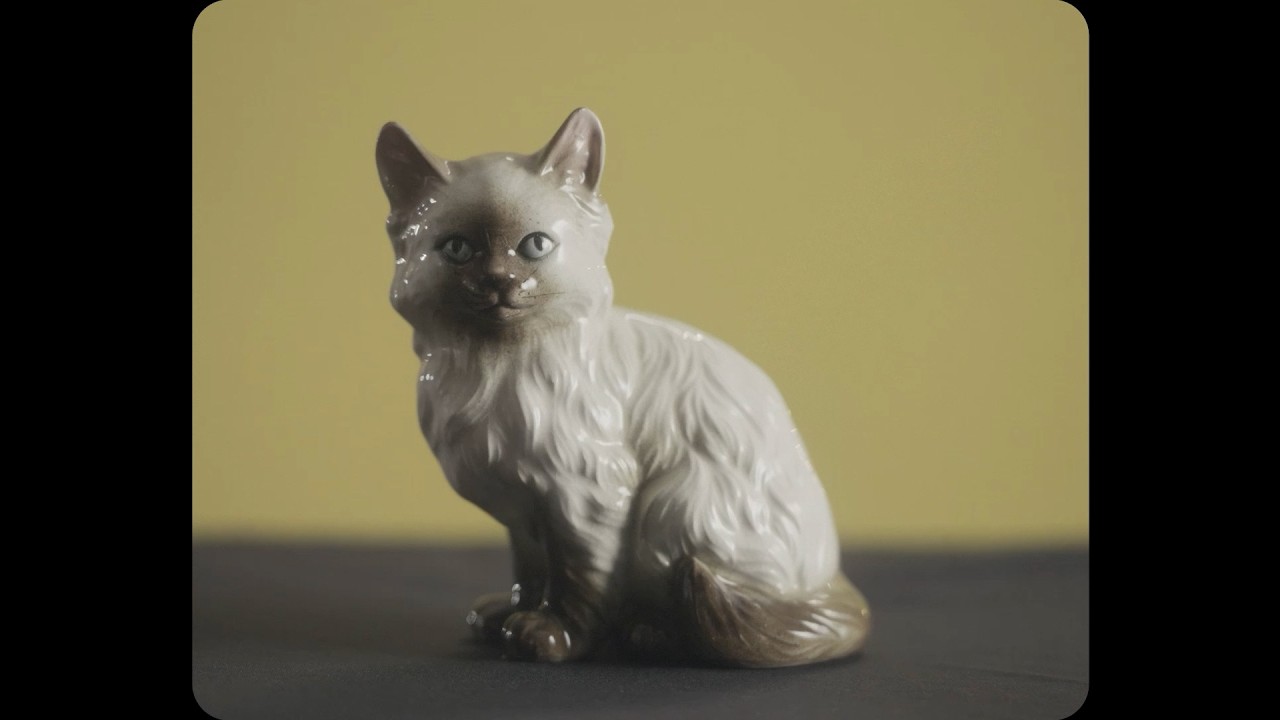 Watch Shortstraw - Schrödinger (Official Video) on YouTube Watch Shortstraw - Schrödinger (Official Video) on YouTube