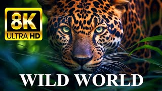 WILD WORLD 8K ULTRA HD: Animals in Nature