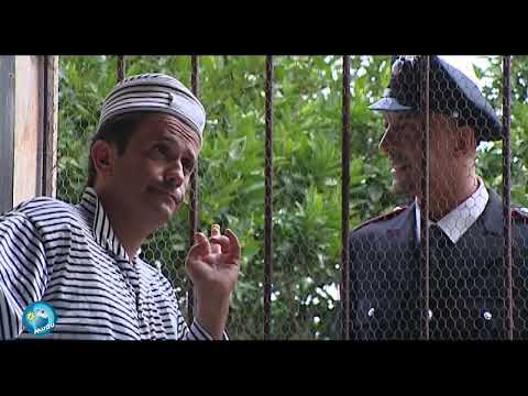 Mudù - Le Brevissime 516